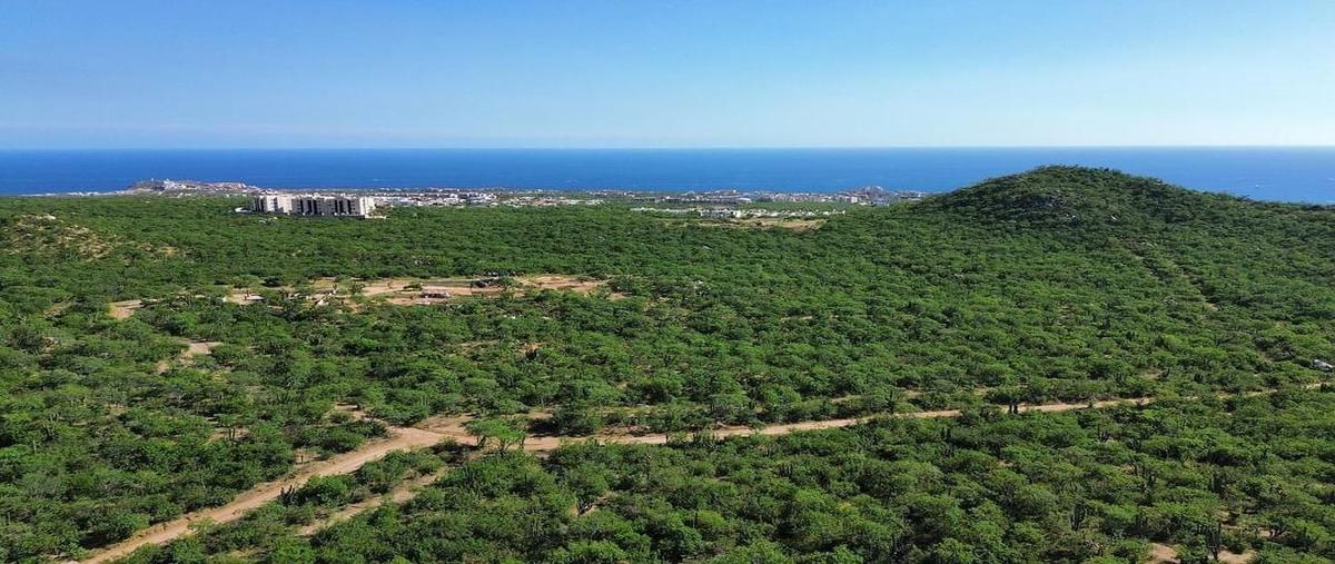 Foto de terreno habitacional en venta en lote para desarrollador 262 a-b , el tezal, los cabos, baja california sur, 27531112 No. 04