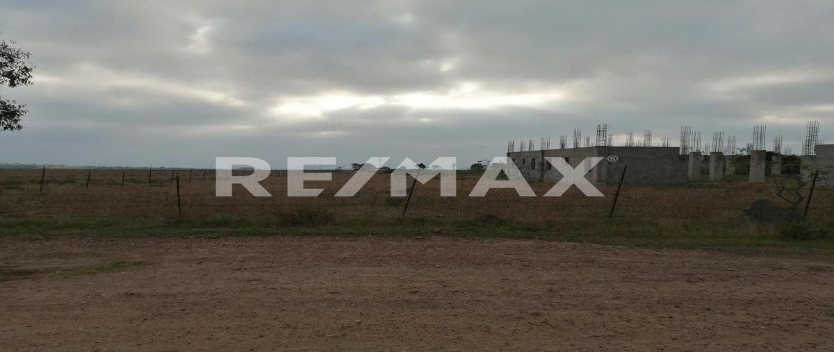 Foto de terreno habitacional en renta en lote parcela 15 z-1 p-2 de la manzana sm ejido úrsulo galván , la salina, ensenada, baja california, 27866464 No. 02