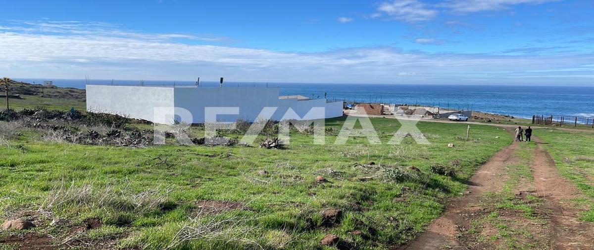Foto de terreno habitacional en venta en lote parcela 169 z-2 p1/1, fraccionamiento a, manzana s/m, ejido ursulo galvan. , la salina, ensenada, baja california, 24092834 No. 03