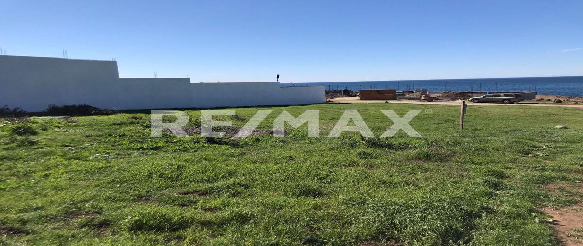 Foto de terreno habitacional en venta en lote parcela 169 z-2 p1/1, fraccionamiento a, manzana s/m, ejido ursulo galvan. , la salina, ensenada, baja california, 24092834 No. 05