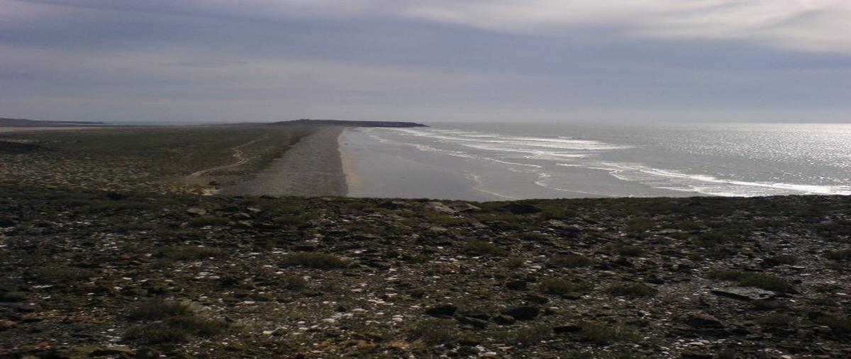 Foto de terreno comercial en lote parcela 34 z-2 p1/1 de la manzana s/m , san josé de las palomas, san quintín, baja california, 8383285 foto 03 Foto de terreno comercial en venta en lote parcela 34 z-2 p1/1 de la manzana s/m , san josé de las palomas, san quintín, baja california, 8383285 No. 03