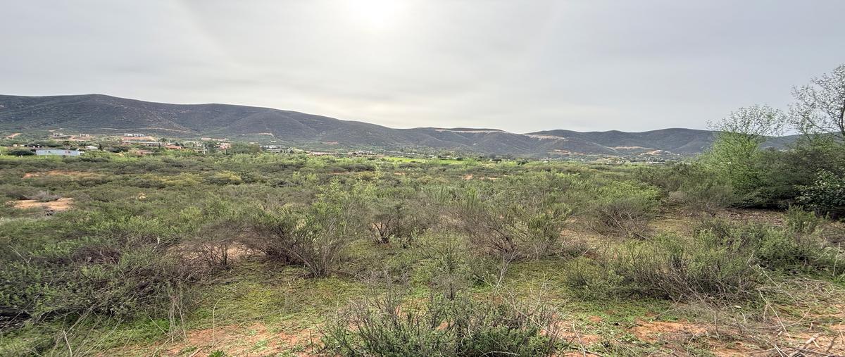 Foto de terreno habitacional en venta en lote predio jesus maria , san antonio de las minas, ensenada, baja california, 30834160 No. 04