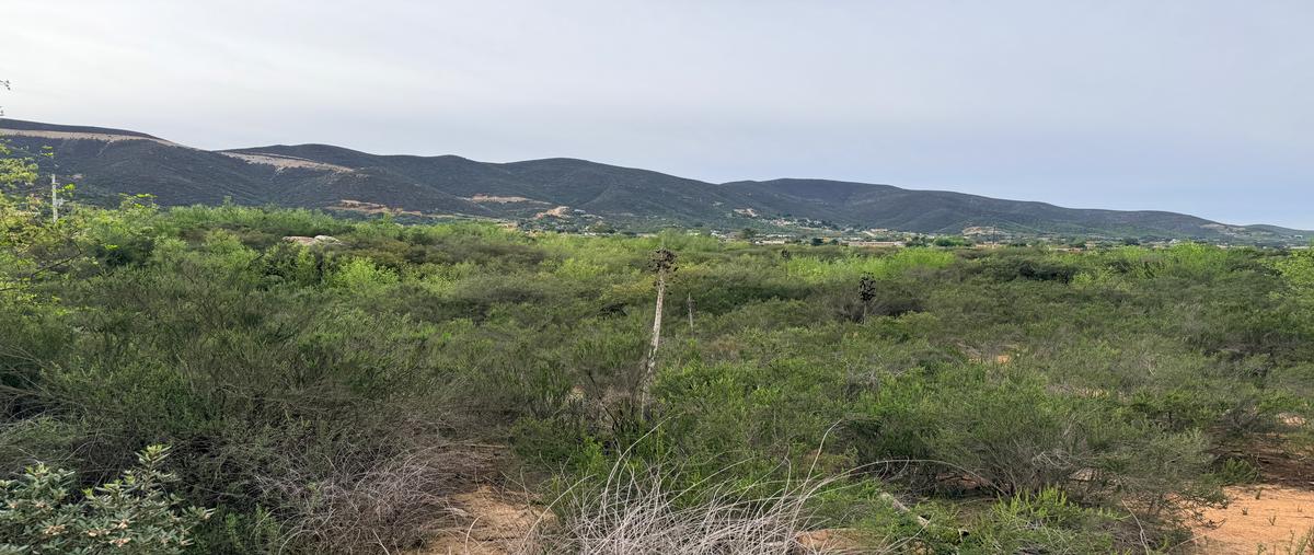 Foto de terreno habitacional en venta en lote predio jesus maria , san antonio de las minas, ensenada, baja california, 30834160 No. 05