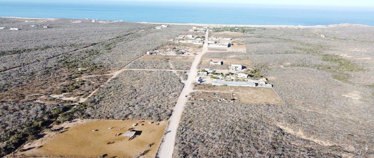 Foto de terreno habitacional en venta en lote , real unidad, los cabos, baja california sur, 27291996 No. 05