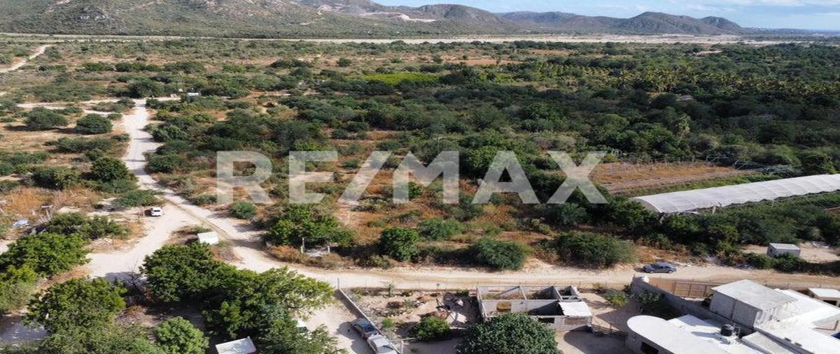 Foto de terreno habitacional en venta en lote ricardo , san josé viejo, los cabos, baja california sur, 26677388 No. 01