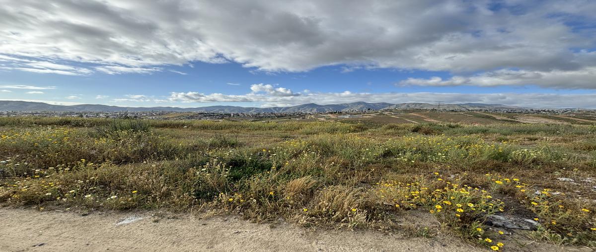 Foto de terreno comercial en venta en lote santa paula fraccionamiento y santa paula oeste fraccionamiento , aguajito, ensenada, baja california, 28115088 No. 03