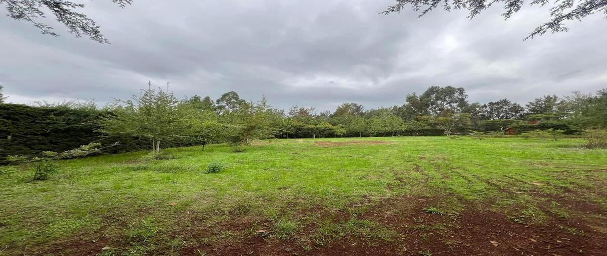 Foto de terreno habitacional en venta en lote , tapalpa, tapalpa, jalisco, 28303014 No. 03