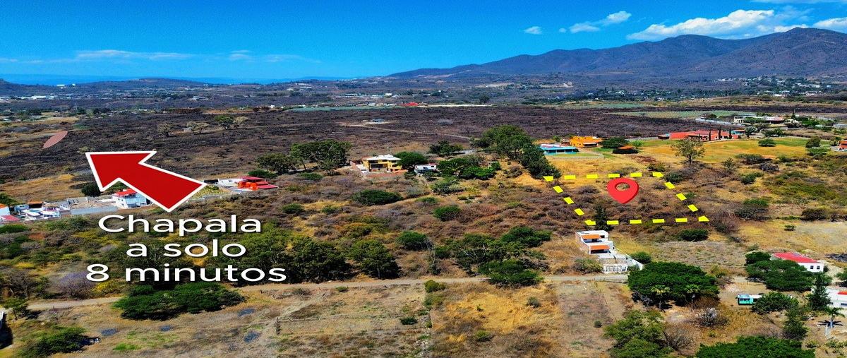 Foto de terreno habitacional en venta en lote terrenoparcela , hacienda de la labor, chapala, jalisco, 0 No. 05