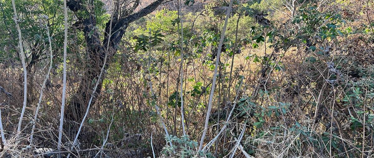 Foto de terreno habitacional en venta en lt 115 a-33 , ixtapan de la sal, ixtapan de la sal, méxico, 27952435 No. 04
