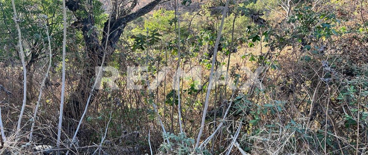 Foto de terreno habitacional en venta en lt 115 a-33 , ixtapan de la sal, ixtapan de la sal, méxico, 0 No. 04