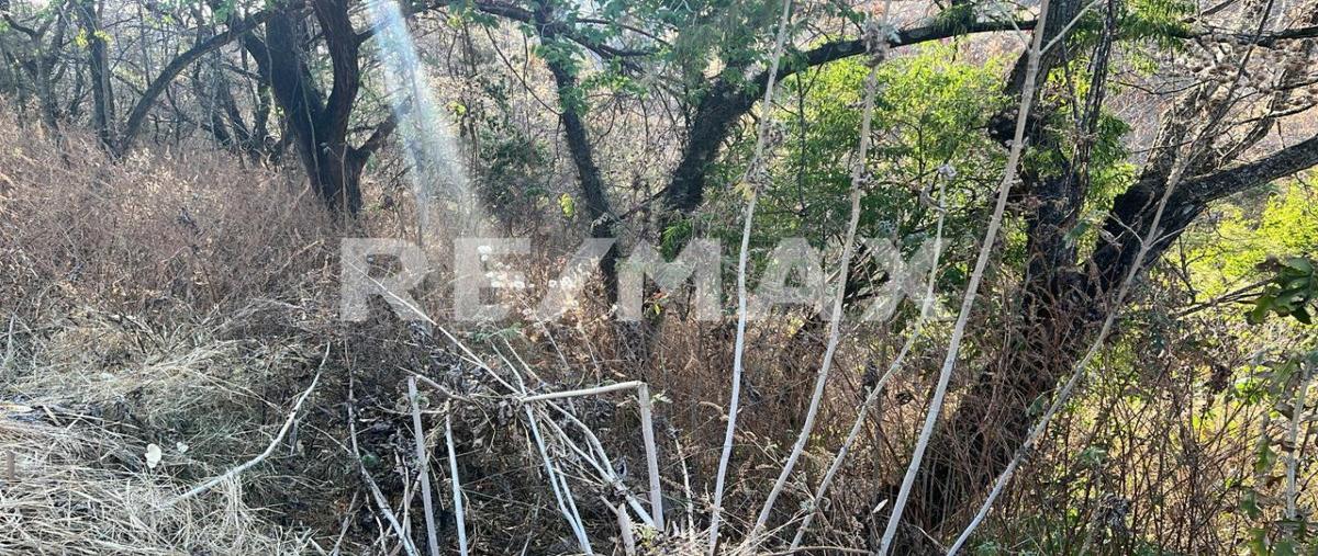 Foto de terreno habitacional en venta en lt 115 a-33 , ixtapan de la sal, ixtapan de la sal, méxico, 0 No. 05