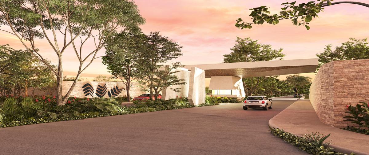 Foto de terreno habitacional en lualta , conkal, conkal, yucatán, 28485008 foto 02 Foto de terreno habitacional en venta en lualta , conkal, conkal, yucatán, 28485008 No. 02