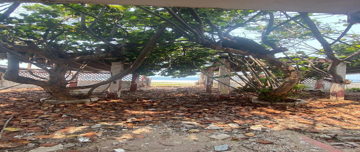 Foto de terreno habitacional en venta en  , luces en el mar, coyuca de benítez, guerrero, 0 No. 04