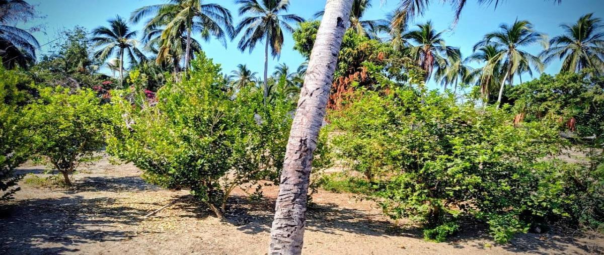 Foto de terreno habitacional en venta en  , luces en el mar, coyuca de benítez, guerrero, 30898974 No. 05