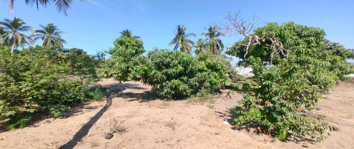 Foto de terreno habitacional en venta en  , luces en el mar, coyuca de benítez, guerrero, 31103781 No. 04