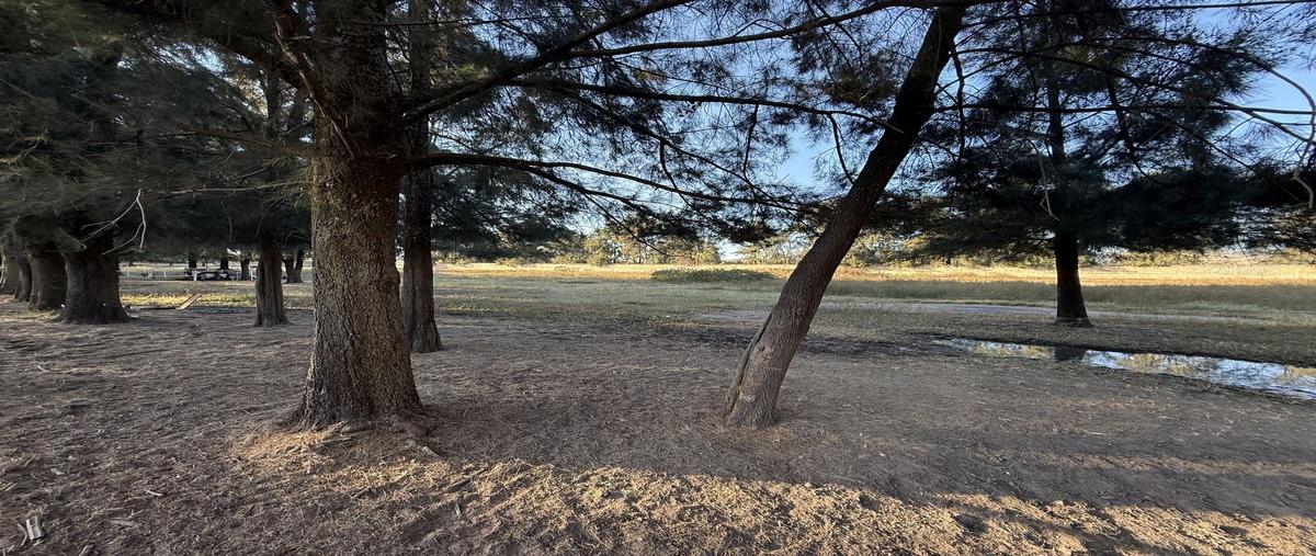 Foto de rancho en venta en lucio blanco , residencial tesistán, zapopan, jalisco, 28946830 No. 05