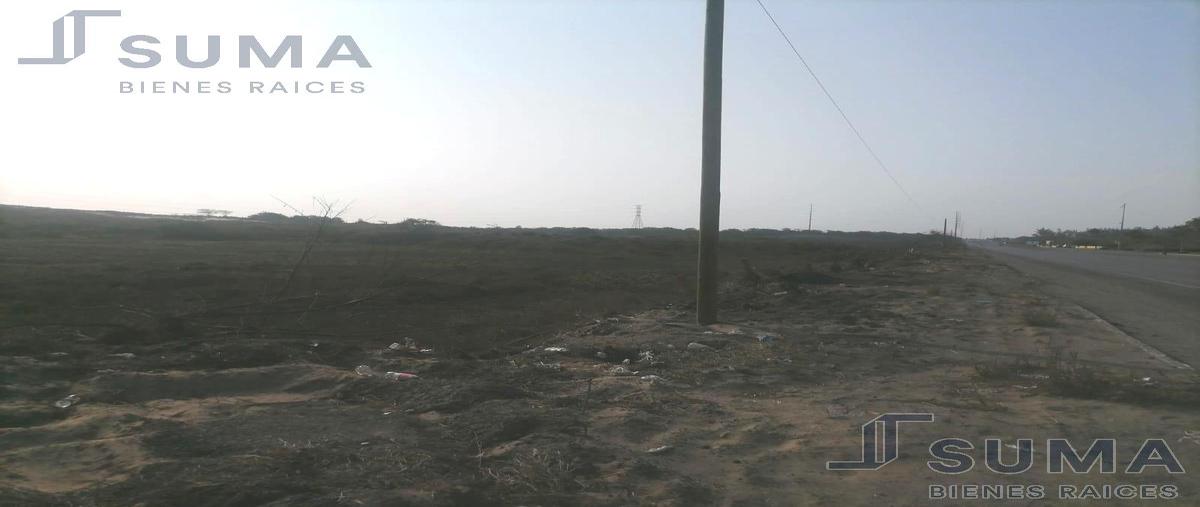 Foto de terreno habitacional en , luis donaldo colosio, altamira, tamaulipas, 24808341 foto 03 Foto de terreno habitacional en venta en , luis donaldo colosio, altamira, tamaulipas, 24808341 No. 03