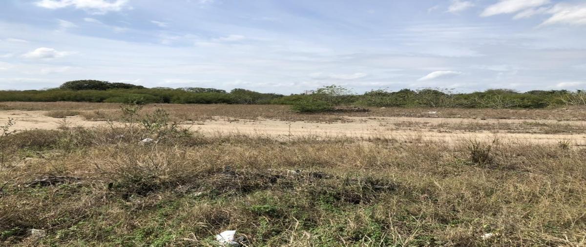 Foto de terreno habitacional en renta en  , luis donaldo colosio, altamira, tamaulipas, 0 No. 03