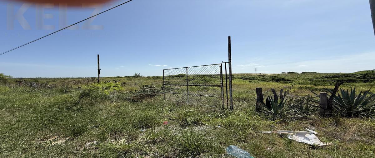 Foto de terreno habitacional en venta en  , luis donaldo colosio, altamira, tamaulipas, 30330214 No. 03