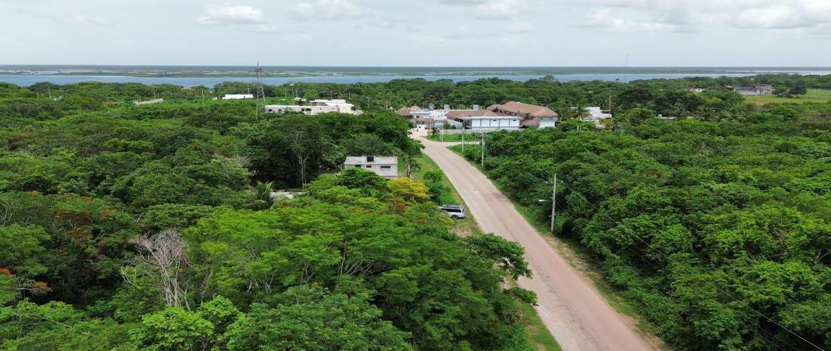 Foto de terreno habitacional en , luis donaldo colosio, bacalar, quintana roo, 30889659 foto 03 Foto de terreno habitacional en venta en , luis donaldo colosio, bacalar, quintana roo, 30889659 No. 03