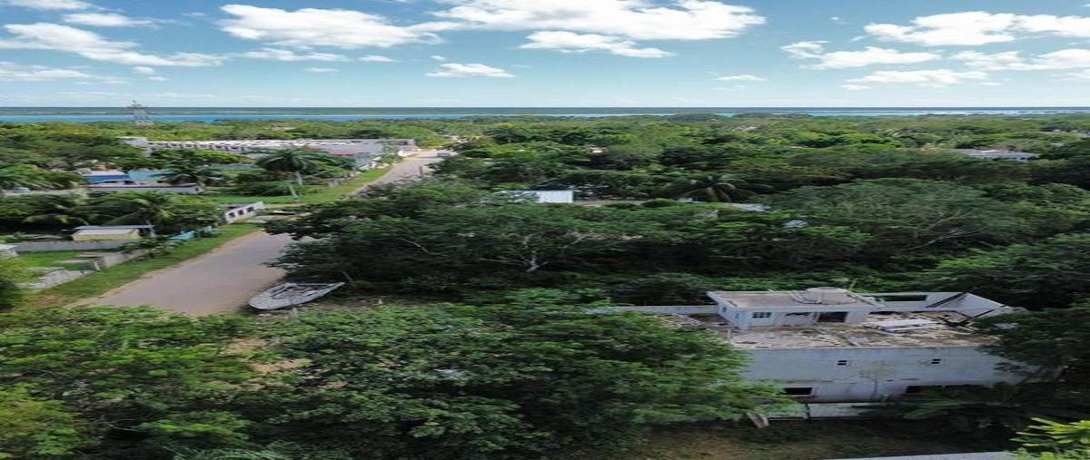 Foto de terreno habitacional en , luis donaldo colosio, bacalar, quintana roo, 30889660 foto 02 Foto de terreno habitacional en venta en , luis donaldo colosio, bacalar, quintana roo, 30889660 No. 02