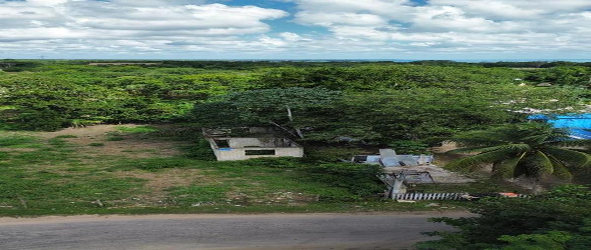 Foto de terreno habitacional en , luis donaldo colosio, bacalar, quintana roo, 30889660 foto 03 Foto de terreno habitacional en venta en , luis donaldo colosio, bacalar, quintana roo, 30889660 No. 03