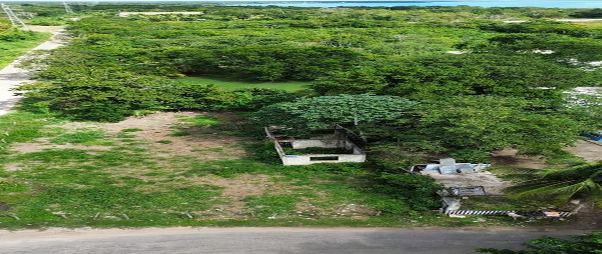 Foto de terreno habitacional en , luis donaldo colosio, bacalar, quintana roo, 30889660 foto 05 Foto de terreno habitacional en venta en , luis donaldo colosio, bacalar, quintana roo, 30889660 No. 05