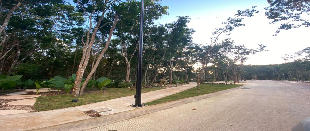 Foto de terreno habitacional en venta en  , luis donaldo colosio, solidaridad, quintana roo, 31000039 No. 04