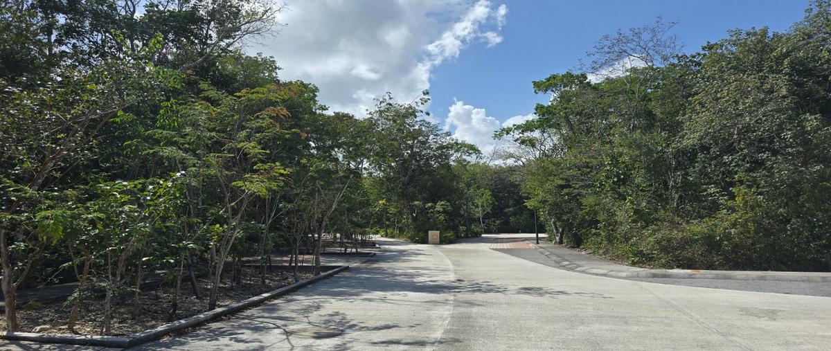 Foto de terreno habitacional en venta en  , luis donaldo colosio, solidaridad, quintana roo, 31000039 No. 05