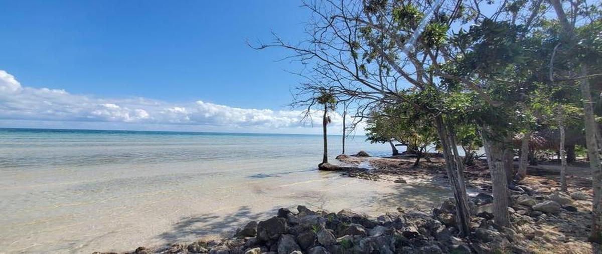 Foto de terreno habitacional en venta en  , luis echeverría, othón p. blanco, quintana roo, 0 No. 03