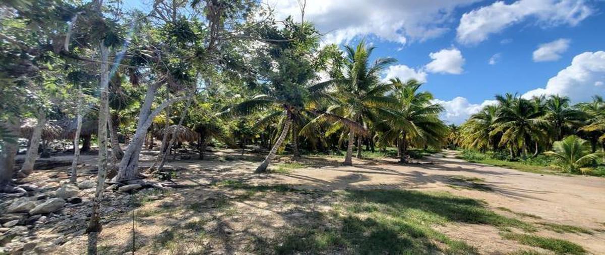 Foto de terreno habitacional en venta en  , luis echeverría, othón p. blanco, quintana roo, 0 No. 05
