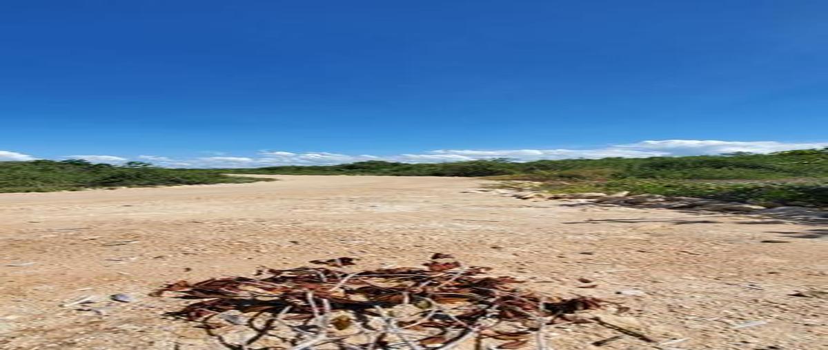 Foto de terreno habitacional en venta en  , luis echeverría, othón p. blanco, quintana roo, 0 No. 05