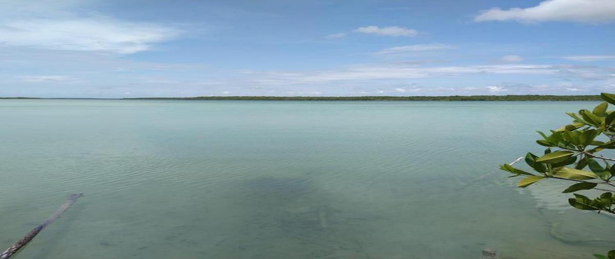 Foto de terreno habitacional en venta en  , luis echeverría, othón p. blanco, quintana roo, 0 No. 03