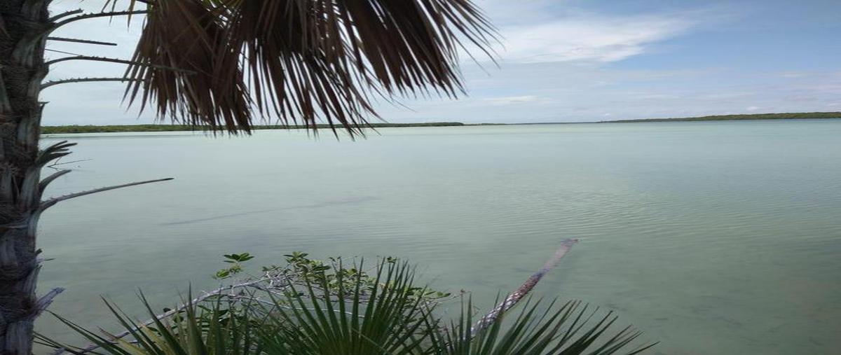 Foto de terreno habitacional en venta en  , luis echeverría, othón p. blanco, quintana roo, 0 No. 04
