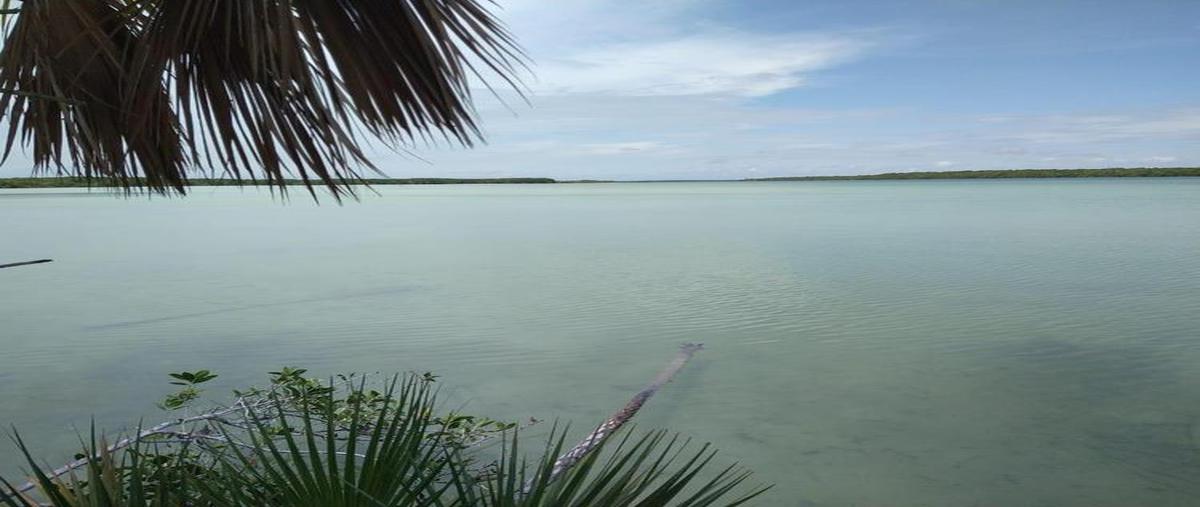 Foto de terreno habitacional en venta en  , luis echeverría, othón p. blanco, quintana roo, 0 No. 05