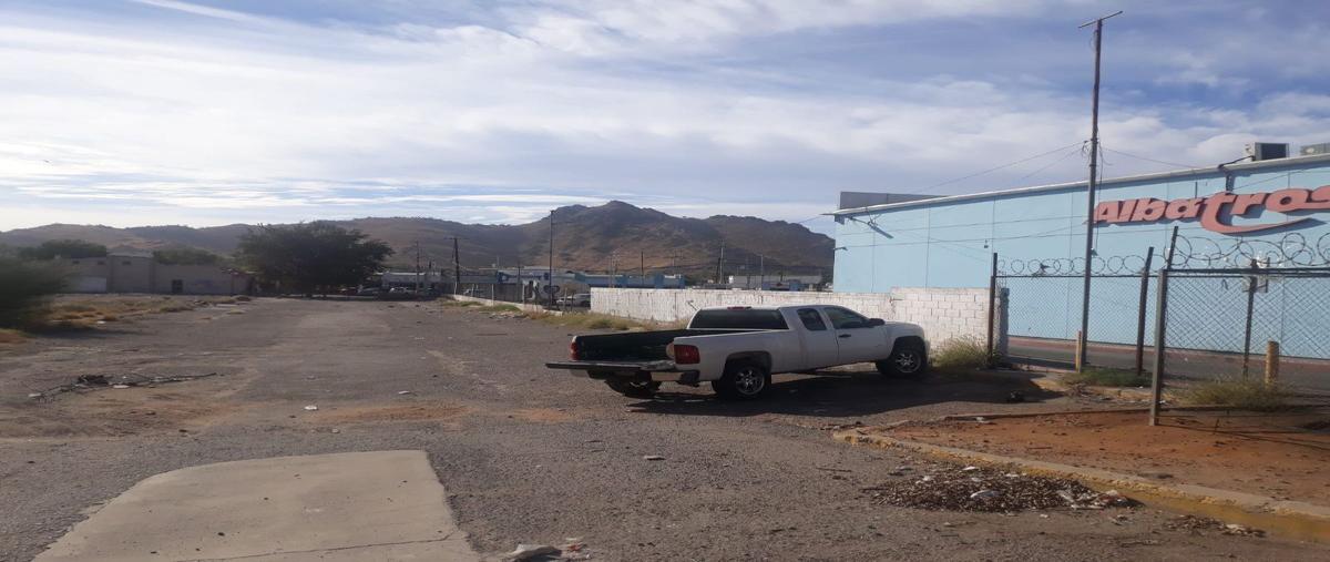 Foto de bodega en renta en  , luis encinas, hermosillo, sonora, 0 No. 03