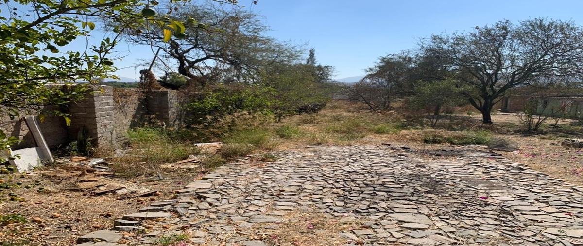 Foto de terreno habitacional en venta en luis obregón 0, la calera, tlajomulco de zúñiga, jalisco, 0 No. 05