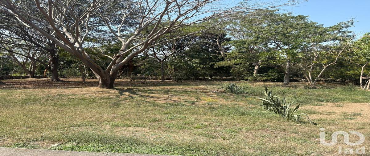Foto de terreno habitacional en venta en luis spota 375, los aguajes, comala, colima, 30850806 No. 03