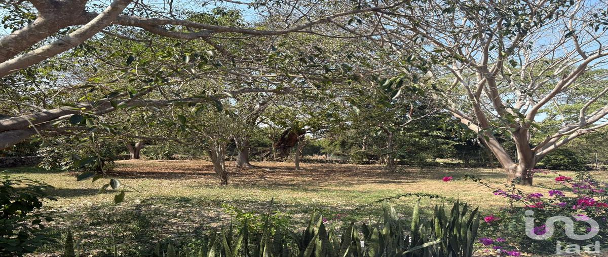 Foto de terreno habitacional en venta en luis spota 375, los aguajes, comala, colima, 30850806 No. 04