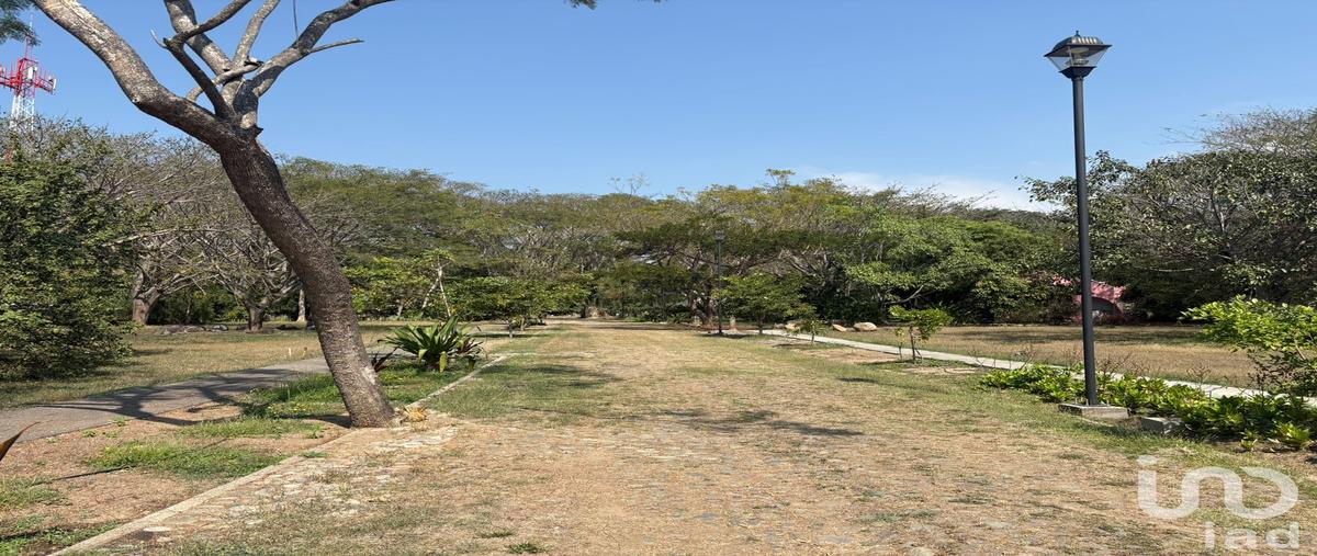 Foto de terreno habitacional en venta en luis spota 375, los aguajes, comala, colima, 30850806 No. 05