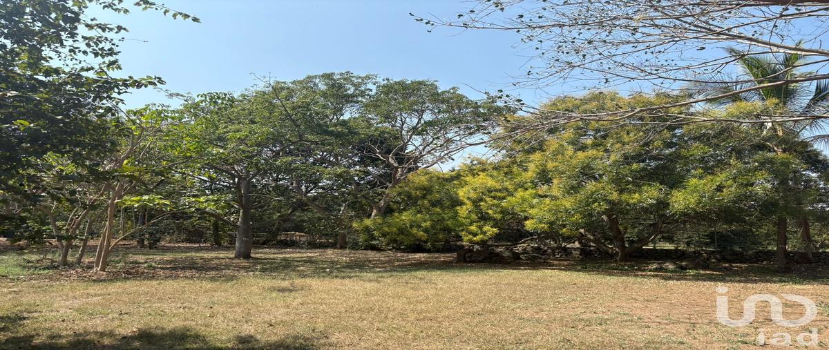 Foto de terreno habitacional en venta en luis spota 389, los aguajes, comala, colima, 30892816 No. 03