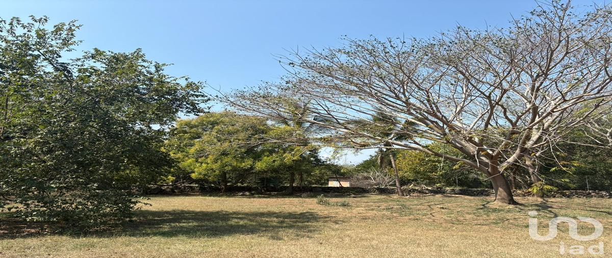 Foto de terreno habitacional en venta en luis spota 389, los aguajes, comala, colima, 30892816 No. 04