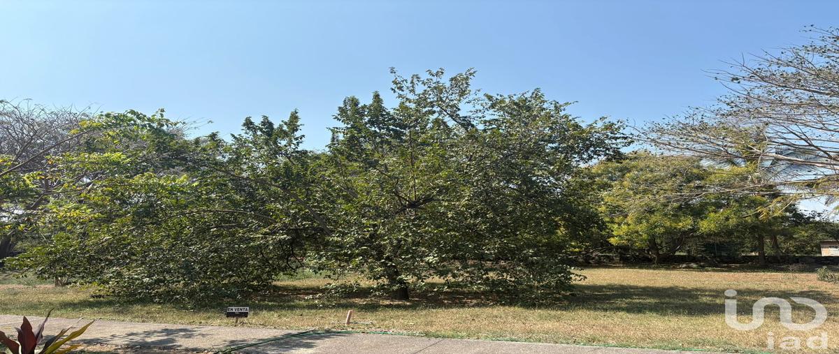 Foto de terreno habitacional en venta en luis spota 389, los aguajes, comala, colima, 30892816 No. 05