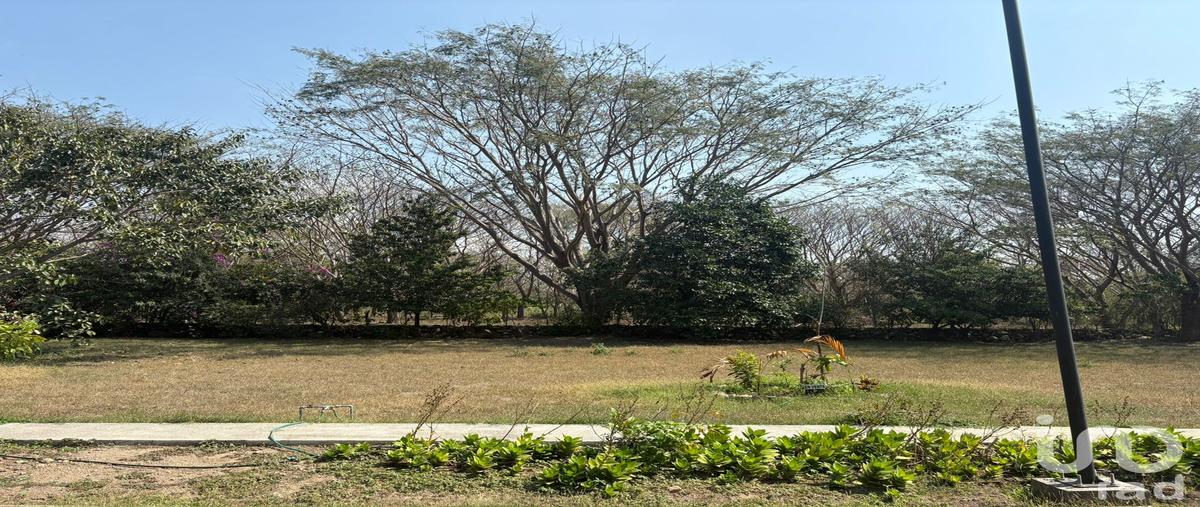 Foto de terreno habitacional en luis spota 396, comala, comala, colima, 30892704 foto 04 Foto de terreno habitacional en venta en luis spota 396, comala, comala, colima, 30892704 No. 04