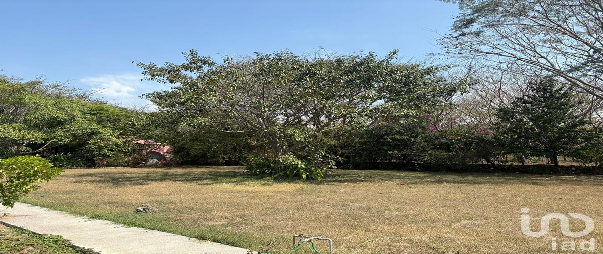 Foto de terreno habitacional en luis spota 398, comala, comala, colima, 30892704 foto 05 Foto de terreno habitacional en venta en luis spota 398, comala, comala, colima, 30892704 No. 05