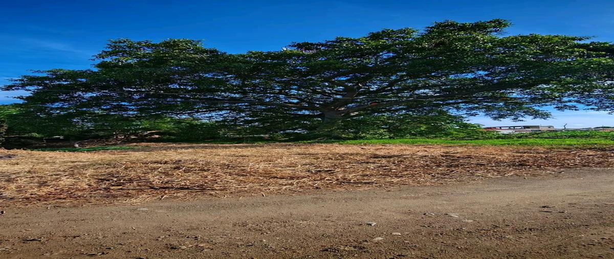 Foto de terreno habitacional en venta en luis zamora guizar , cuauhtémoc, cuauhtémoc, colima, 0 No. 04