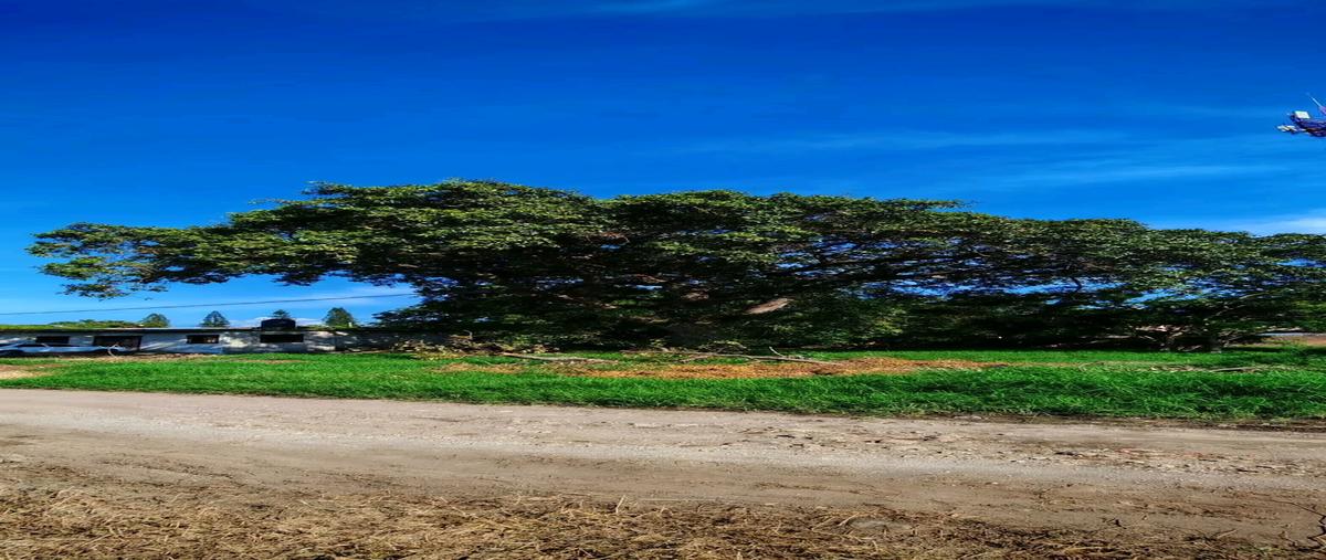 Foto de terreno habitacional en venta en luis zamora guizar , cuauhtémoc, cuauhtémoc, colima, 0 No. 05