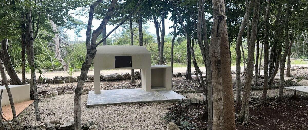 Foto de terreno habitacional en venta en luum tulumquintana roo , tulum centro, tulum, quintana roo, 29009419 No. 03