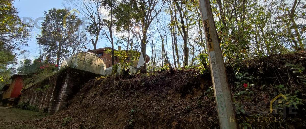 Foto de terreno habitacional en , luz del barrio, xalapa, veracruz de ignacio de la llave, 0 foto 02 Foto de terreno habitacional en venta en , luz del barrio, xalapa, veracruz de ignacio de la llave, 0 No. 02