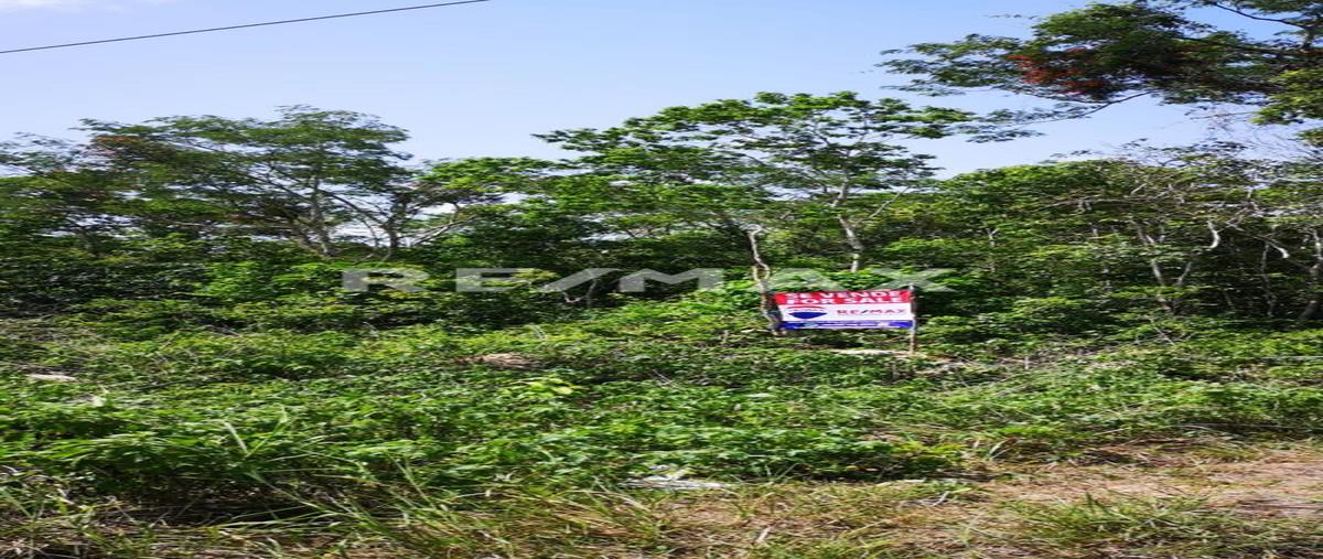Foto de terreno habitacional en macario gómez , macario gómez, tulum, quintana roo, 0 foto 02 Foto de terreno habitacional en venta en macario gómez , macario gómez, tulum, quintana roo, 0 No. 02